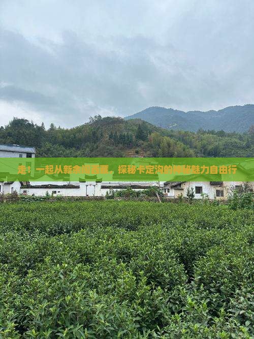 新余去西藏卡定沟自由团