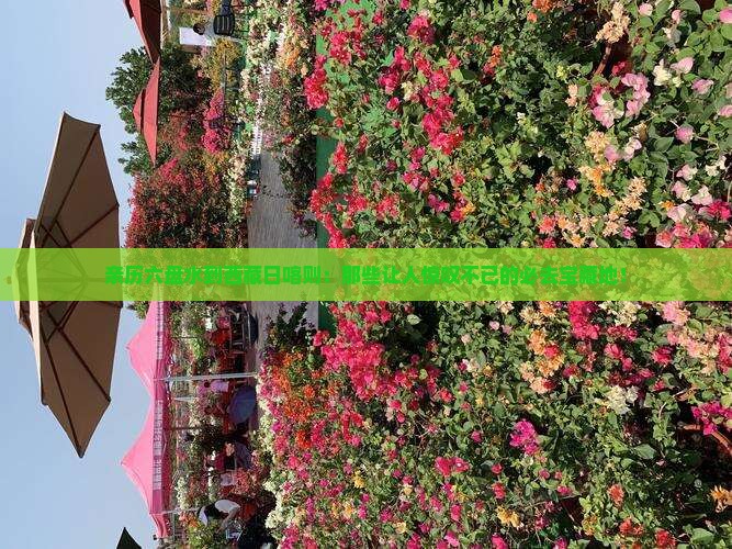 六盘水到西藏日喀则必去地