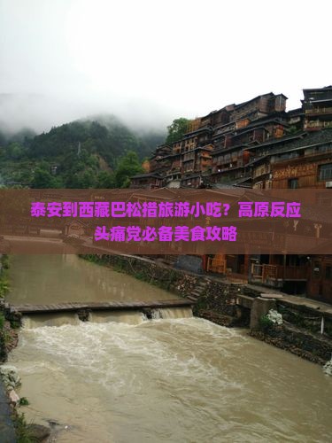 泰安到西藏巴松措旅游小吃