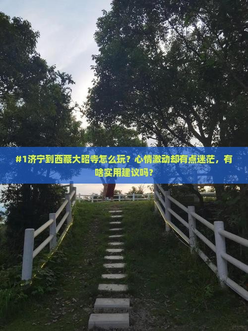 济宁去西藏大昭寺旅游
