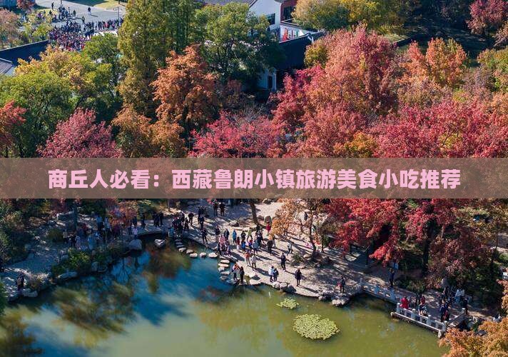 商丘到西藏鲁朗小镇旅游小吃
