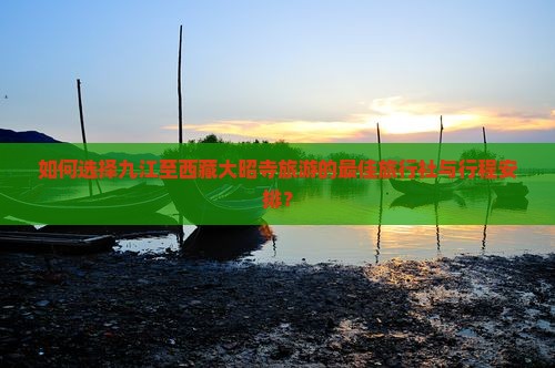 九江到西藏大昭寺旅行社