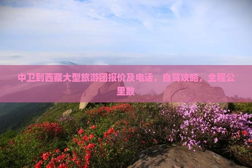 中卫到西藏大型旅游团