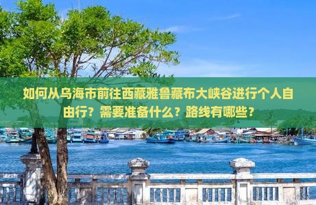 乌海市去西藏雅鲁藏布大峡谷个人游