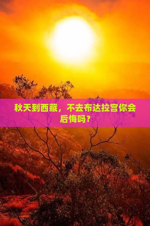 秋天到西藏布达拉宫必去地