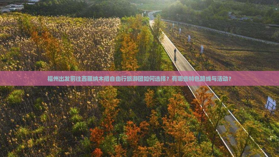 福州到西藏纳木措自由团
