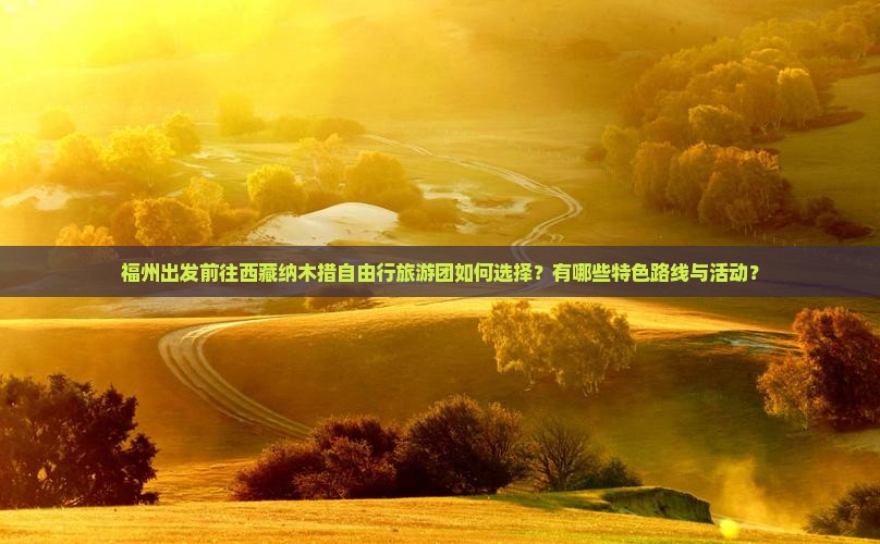 福州到西藏纳木措自由团