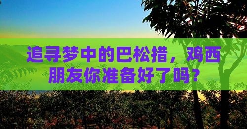 鸡西去西藏巴松措景点