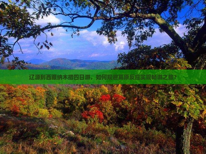 辽源到西藏纳木措四日游