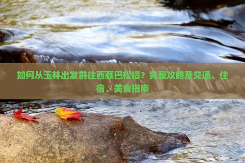 玉林去西藏巴松措攻略