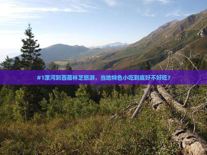 漯河到西藏林芝旅游小吃 漯河到西藏林芝旅游小吃