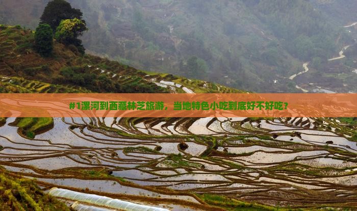 漯河到西藏林芝旅游小吃 漯河到西藏林芝旅游小吃