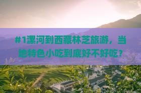 漯河到西藏林芝旅游小吃 漯河到西藏林芝旅游小吃