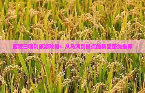 乌海市去西藏日喀则景点