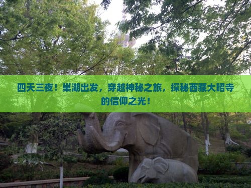 巢湖到西藏大昭寺四日游