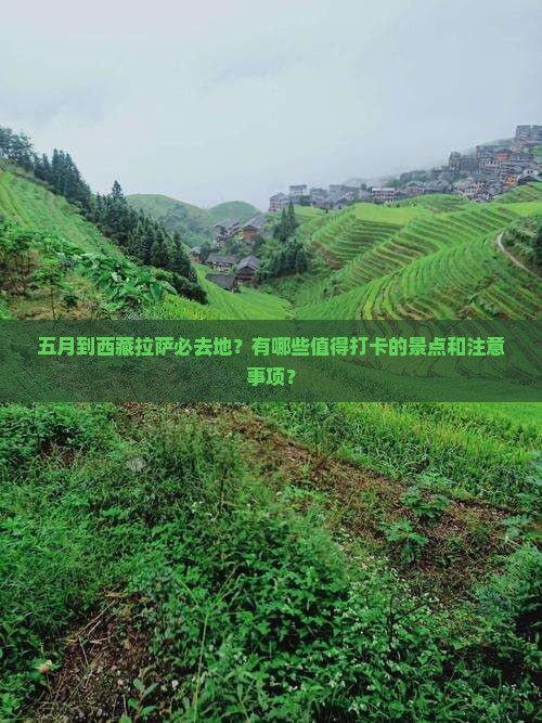 五月到西藏拉萨必去地 五月到西藏拉萨必去地