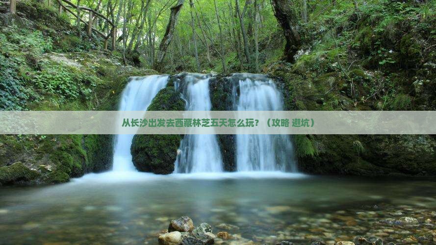长沙去西藏林芝五日游