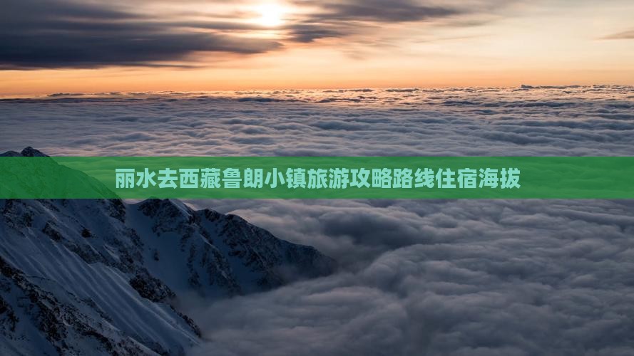 丽水去西藏鲁朗小镇旅游