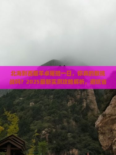 北海到西藏羊卓雍措一日