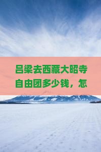 吕梁去西藏大昭寺自由团