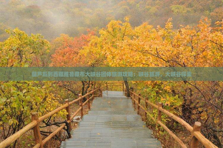 葫芦岛到西藏雅鲁藏布大峡谷团体旅游
