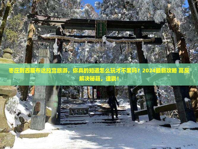 枣庄到西藏布达拉宫旅游