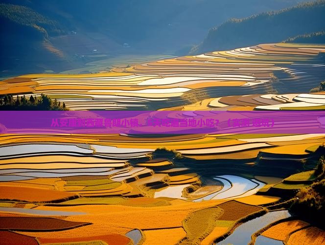 安康到西藏鲁朗小镇旅游小吃