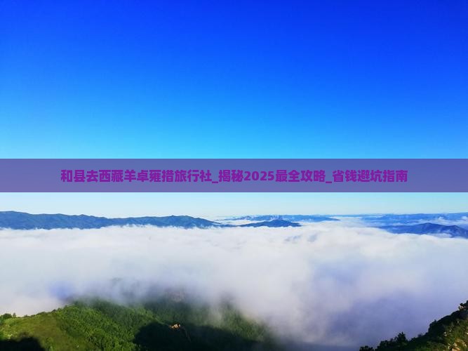 和县去西藏羊卓雍措旅行社