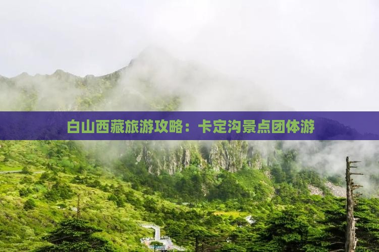 白山去西藏卡定沟团体旅游