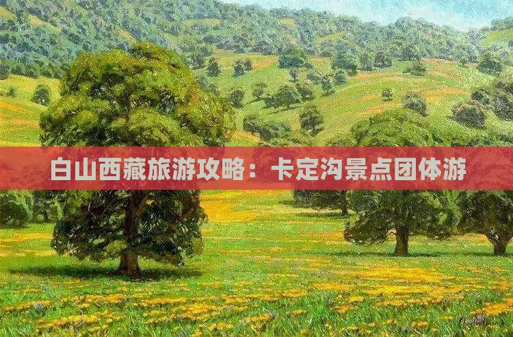 白山去西藏卡定沟团体旅游