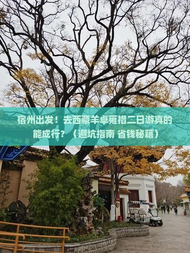 宿州去西藏羊卓雍措二日游