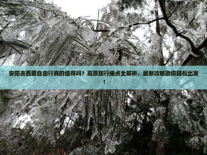安阳去西藏自由行