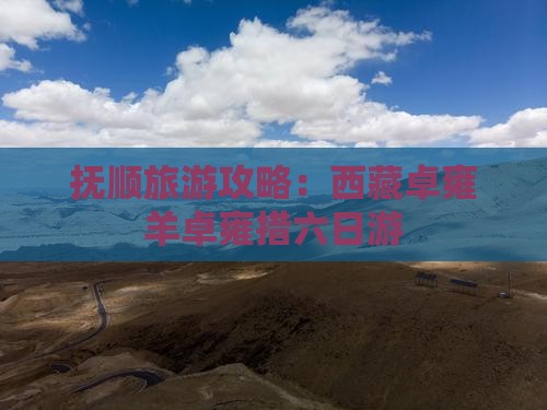 抚顺到西藏羊卓雍措六日游