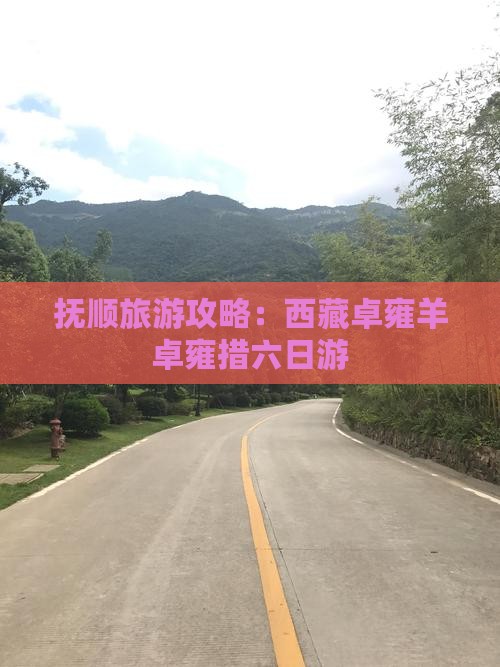 抚顺到西藏羊卓雍措六日游