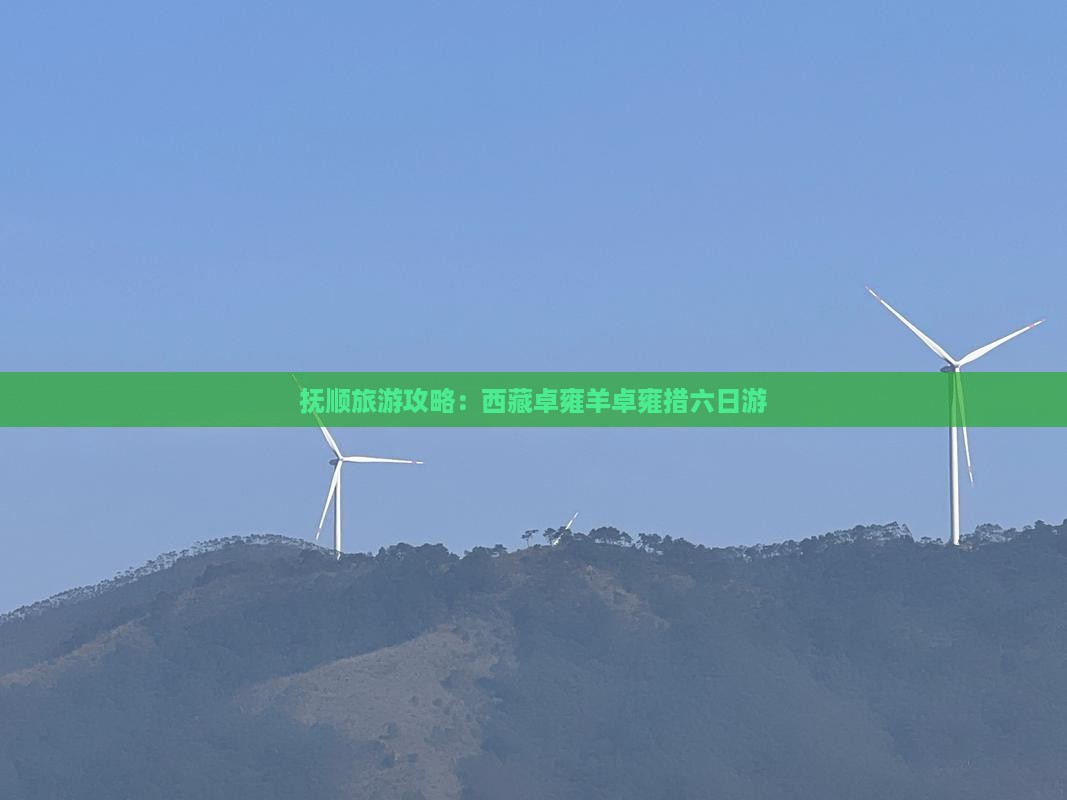 抚顺到西藏羊卓雍措六日游