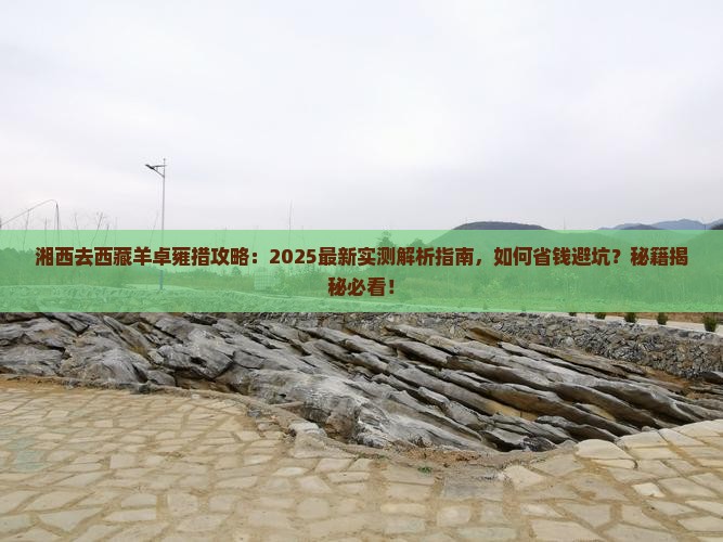 湘西去西藏羊卓雍措攻略