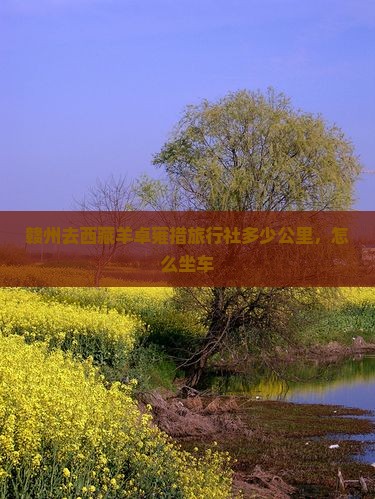 赣州去西藏羊卓雍措旅行社