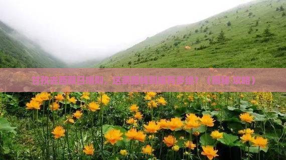 甘孜去西藏日喀则景点