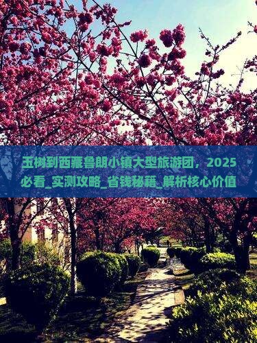 玉树到西藏鲁朗小镇大型旅游团