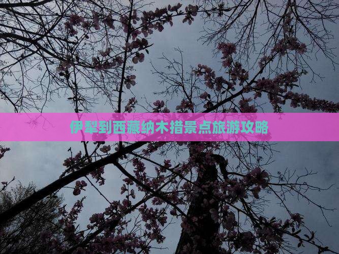 伊犁到西藏纳木措团体旅游