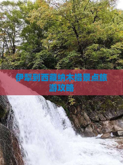 伊犁到西藏纳木措团体旅游