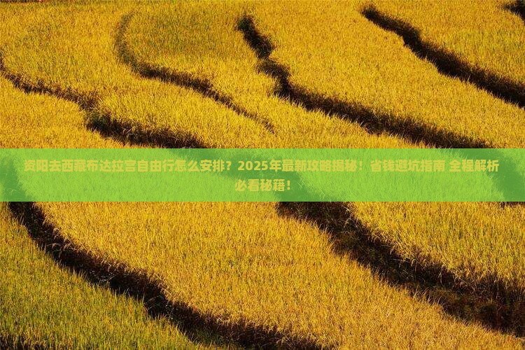 资阳去西藏布达拉宫自由行