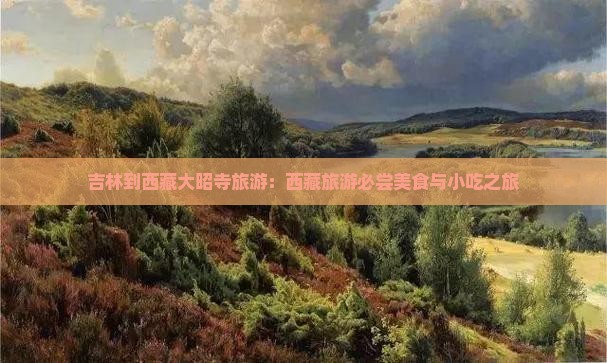 吉林到西藏大昭寺旅游小吃