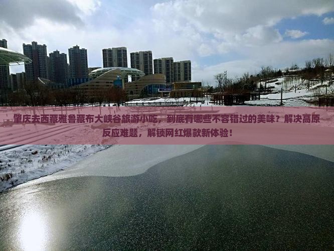肇庆去西藏雅鲁藏布大峡谷旅游小吃