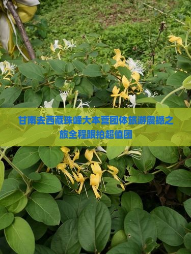 甘南去西藏珠峰大本营团体旅游