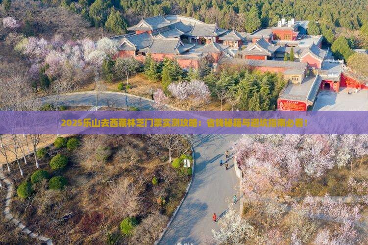 乐山去西藏林芝门票