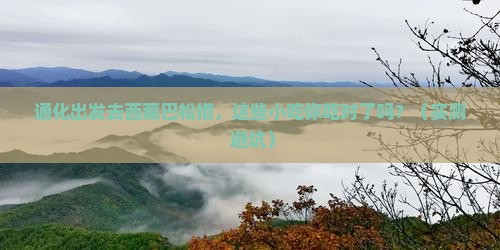 通化去西藏巴松措旅游小吃