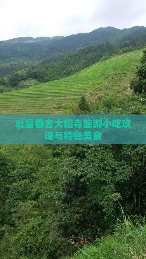 吐鲁番去大昭寺旅游小吃攻略与特色美食
