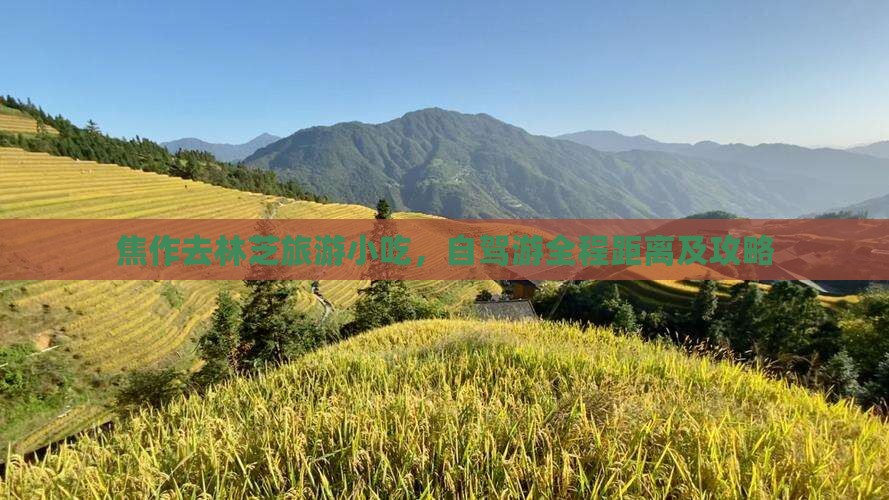焦作去林芝旅游小吃，自驾游全程距离及攻略