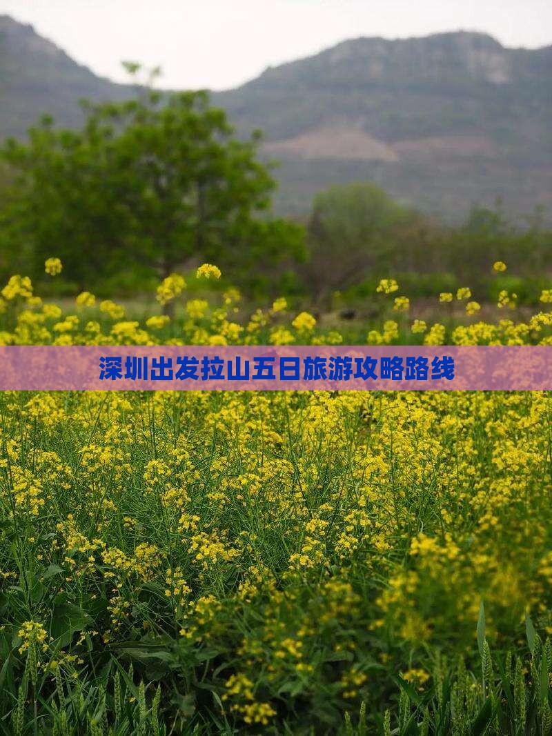 深圳出发拉山五日旅游攻略路线